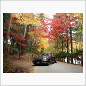 近場でも綺麗な紅葉の名所があ ...