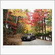 近場でも綺麗な紅葉の名所があります