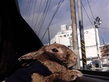 180SXの車窓から