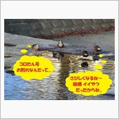 ねぎらい