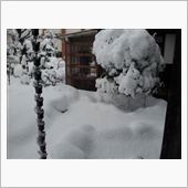１２月９日昼♪