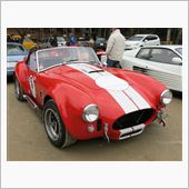 cobra