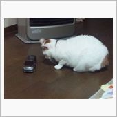 興味津々(笑)
