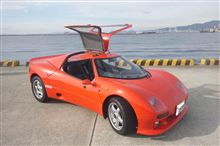 トムス　エンジェル　解剖Ⅱ