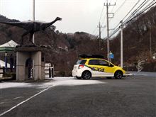 保護ニャンのお家を探しながら
