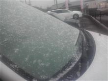 初雪