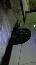 雪も少しは… 雪も少しは…