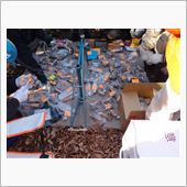 伊佐沼公園で遭遇した絶頂期の ...