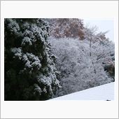雪降りでした・・・