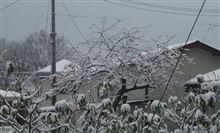 秋と冬の出会い