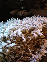 替えた翌日から雪景色に・・・。