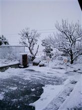 雪！