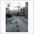 雪 ゆき ユキ♪♪♪