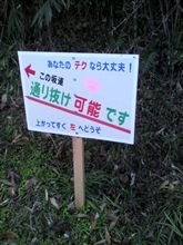 チャレンジしてみる？