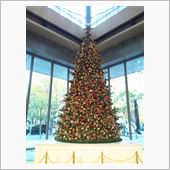 クリスマスイブまで後2週間で ...