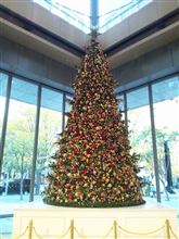 クリスマスイブまで後2週間ですね♪ クリスマスイブまで後2週間ですね♪