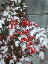 初雪、初冠雪。