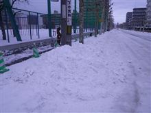 筑波遠征を・・・