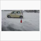 降ってます(*_*)
