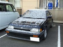 初冠雪