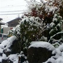とうとう雪が‥‥