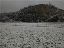 雪景色