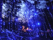 クリスマスそして年の暮れ