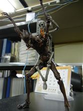 夜のお供