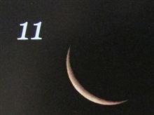 月暦　１２月１１日（火）