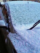 また雪、降りました