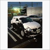 雪が積もりました・・・スタッ ...
