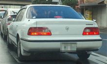 白い伝説