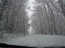 20121208 戸隠へ(&#180;・ω・｀)
