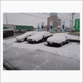 久しぶりの年内降雪...やは ...