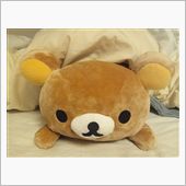 お休みです(^-^)