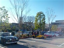 Morning Cruise ☆ 洒落オツな代官山へ