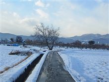 今シーズン初積雪 後 今シーズン初積雪 後