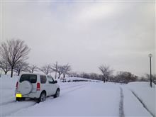 この足跡は…