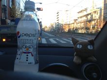 ペプシホワイト 雪みかん