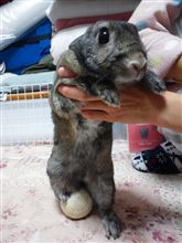 キックオフ！！