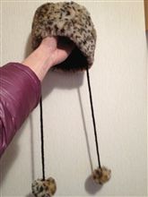 エゴな趣味で買ってみた