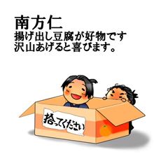 今日の『JIN-仁-（完結編）』