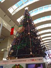すっかりクリスマス