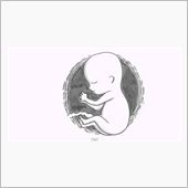 鉄拳の新作Follow Me