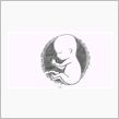 鉄拳の新作Follow Me