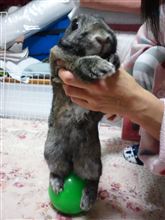 サーカス！！！