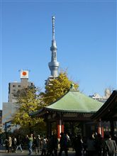 今日も遊びます