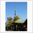 今日も遊びます