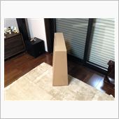 大物投入！