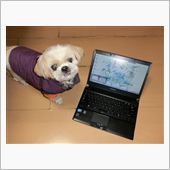 事故物件修理完了